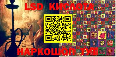 герыч Кингисепп