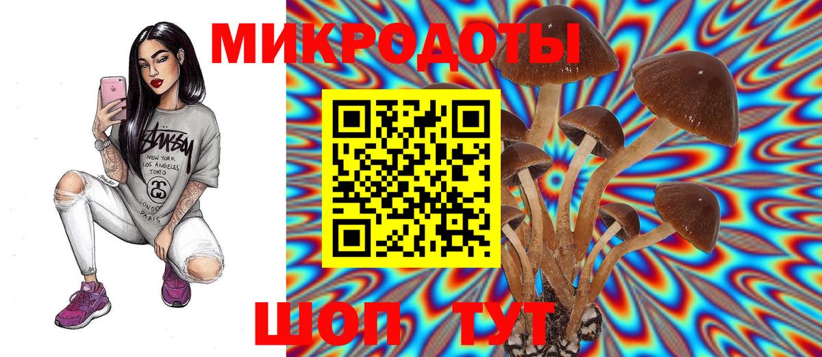 Галлюциногенные грибы MAGIC MUSHROOMS Шахты