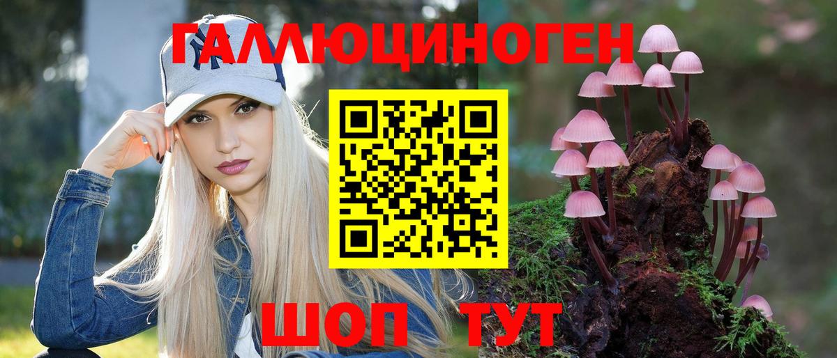Галлюциногенные грибы Psilocybe  Вход с VPN  Псилоцибиновые грибы MAGIC MUSHROOMS  что такое наркотик  Шахты 